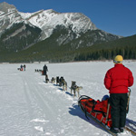 Winter Wonders Dog Sled